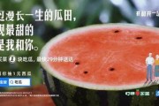 狂飙的文字中文版游戏下载地址官方版 