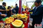 小说部落官网版下载 