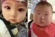 迷你吃鸡射击 